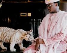 Cheddar to oppose Forestry Commission’s Court action to cease tigers