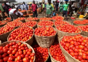 Burkina Faso bans fresh tomato exports; Ghanaian traders warn of shortages