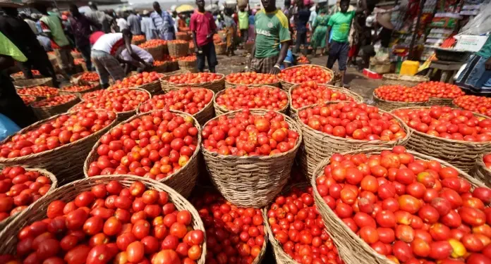 Burkina Faso bans fresh tomato exports; Ghanaian traders warn of shortages