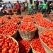 Burkina Faso bans fresh tomato exports; Ghanaian traders warn of shortages