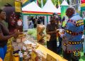 Ghana’s non-traditional exports hit $5.01bn in 2025 — Stan Dogbe