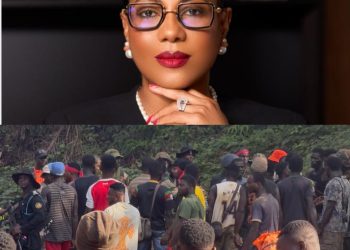 Assembly members call for gov’t intervention in Adamus Resources dispute