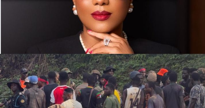 Assembly members call for gov’t intervention in Adamus Resources dispute