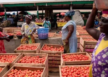 Burkina Faso suspends ban on exportation of fresh tomatoes