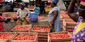 Burkina Faso suspends ban on exportation of fresh tomatoes