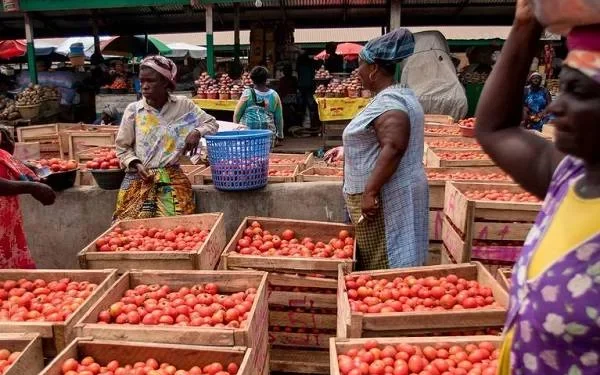 Burkina Faso suspends ban on exportation of fresh tomatoes