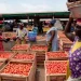Burkina Faso suspends ban on exportation of fresh tomatoes