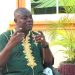 Ashanti Region: “No Dumsor, just saboteurs- NDC Chair demands NAPO engineers’ exit”
