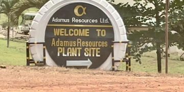 Government revokes Adamus Mining leases over illegal operations