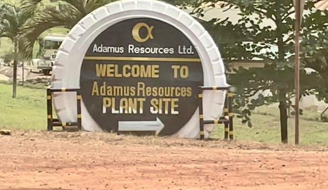Government revokes Adamus Mining leases over illegal operations
