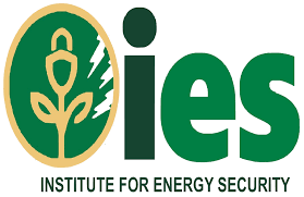 IES warns against removal of BOST Margin, cites fuel security risks