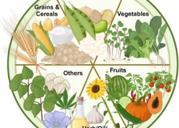 African Science-Policy platform launched to transform food systems