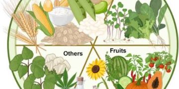 African Science-Policy platform launched to transform food systems