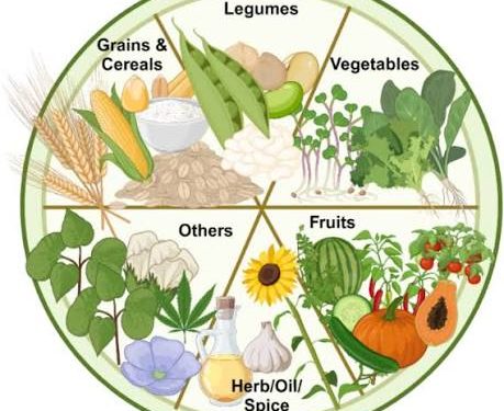 African Science-Policy platform launched to transform food systems