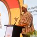 Ghana launches e-Visa platform to boost digital transformation and border security