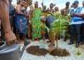 Mahama cuts sod for 1,000-unit Green City housing project in Ashanti Region