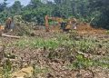 COCOBOD secures injunction against Chief of Dunkwa Offin for attempt to destroy Cocoa farms