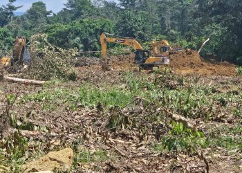 COCOBOD secures injunction against Chief of Dunkwa Offin for attempt to destroy Cocoa farms