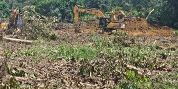 COCOBOD secures injunction against Chief of Dunkwa Offin for attempt to destroy Cocoa farms