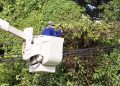 ECG intensifies vegetation control to reduce power outages in Ashanti Region
