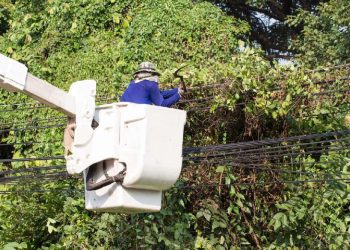 ECG intensifies vegetation control to reduce power outages in Ashanti Region