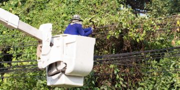 ECG intensifies vegetation control to reduce power outages in Ashanti Region