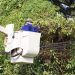 ECG intensifies vegetation control to reduce power outages in Ashanti Region