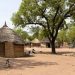 Six North East Districts ranked poorest in Ghana despite national poverty decline – GSS