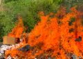 GRA Customs burns seized drugs, Illegal Cigarettes in Wa