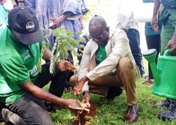 Northern Region Targets 1.1 Million Trees as 2026 Tree for Life Campaign Begins