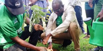 Northern Region Targets 1.1 Million Trees as 2026 Tree for Life Campaign Begins