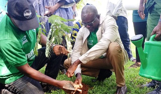Northern Region Targets 1.1 Million Trees as 2026 Tree for Life Campaign Begins