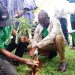 Northern Region Targets 1.1 Million Trees as 2026 Tree for Life Campaign Begins