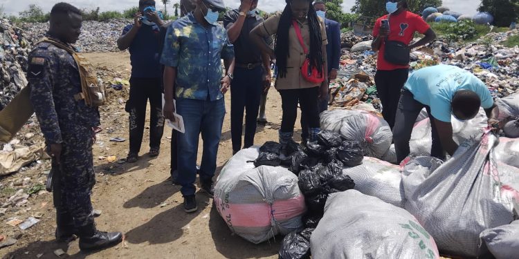Over 10,800 parcels of seized cannabies detroyed in Koforidua
