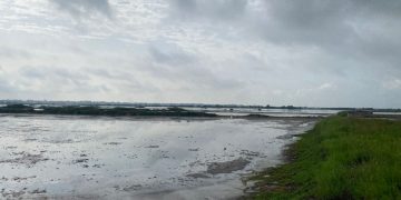 Flooding, encroachment threaten Densu Ramsar site – CBCR raises alarm