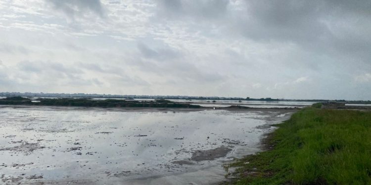 Flooding, encroachment threaten Densu Ramsar site – CBCR raises alarm