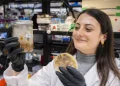 The ancient trick making food waste useful and tasty