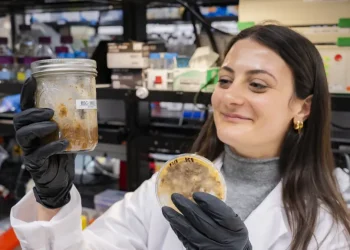The ancient trick making food waste useful and tasty