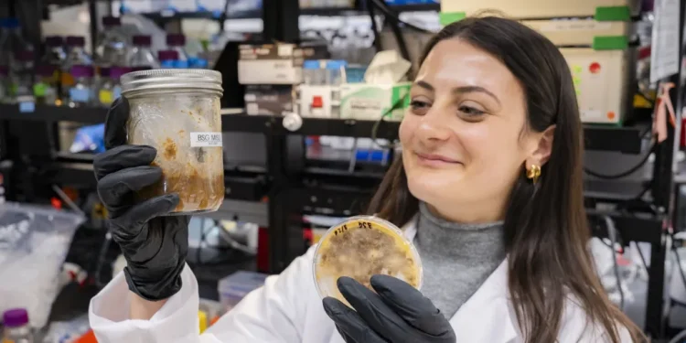 The ancient trick making food waste useful and tasty