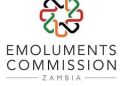 Govt freezes major public sector pay talks for 2026 as new Emoluments Commission takes shape