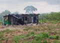 A Rocha Ghana condemns attack on Forestry Commission staff, calls for swift justice