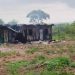 A Rocha Ghana condemns attack on Forestry Commission staff, calls for swift justice