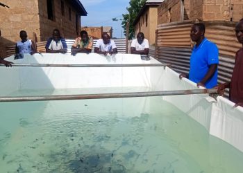 TESP launches catfish farming initiative to empower NDC grassroots executives in Nandom
