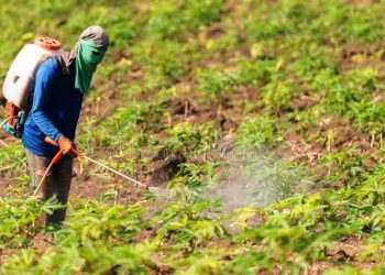 Climate change driving excessive agrochemical use in Upper East, says EPA