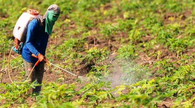 Climate change driving excessive agrochemical use in Upper East, says EPA