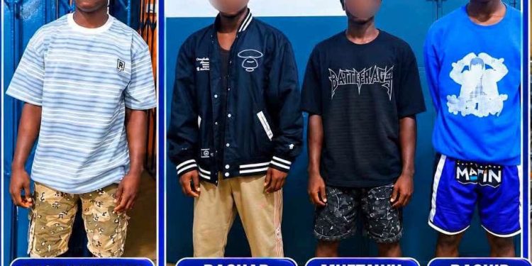 Police bust suspected motorbike theft syndicate, recover 17 stolen motorbikes in Wa