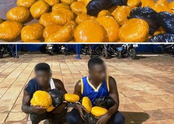 Two suspected drug dealers arrested in Tamale; 170 parcels of suspected Indian hemp seized