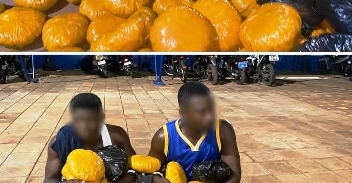 Two suspected drug dealers arrested in Tamale; 170 parcels of suspected Indian hemp seized