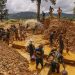 Galamsey has polluted nearly 60% of Ghana’s water bodies – CSIR