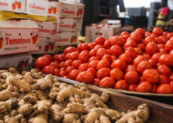 Ghana spends $168m on tomato imports; ginger dependence exceeds 99% — CSIR